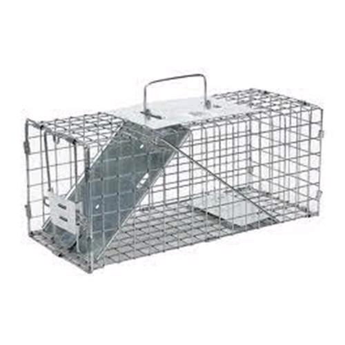 Rental store for 12  Single Door Animal Trap in Dallas TX