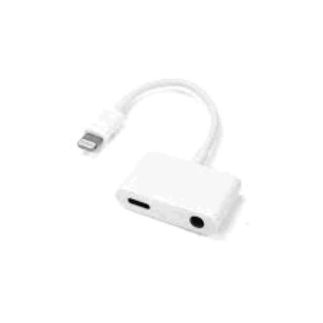 Rental store for Lightning Adapter in Dallas TX