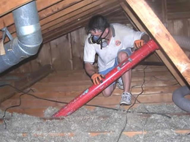 Where to find Insulation Removal Vacuum in Dallas