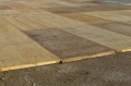 Rental store for 4 X8  Carpeted Plywood Decking, in Dallas TX